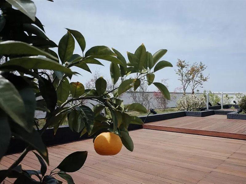 Hi Residences Jeju Bagian luar foto